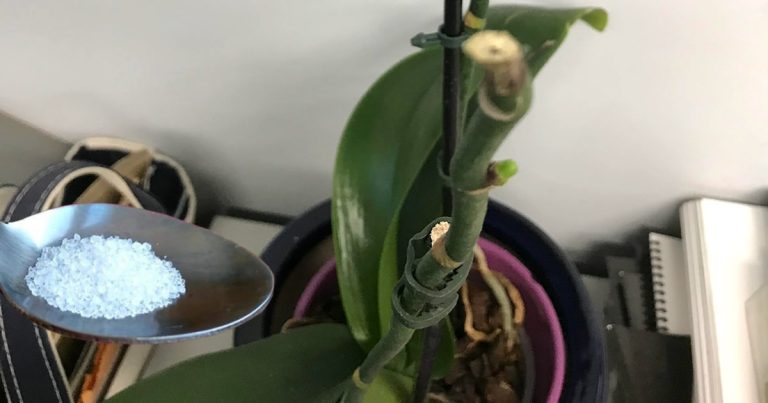 articleops-1784199278365